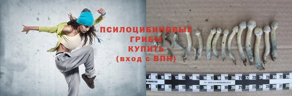 скорость Зеленодольск