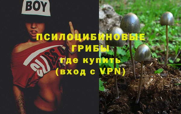 таблы Зерноград