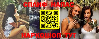 ECSTASY Кузнецк
