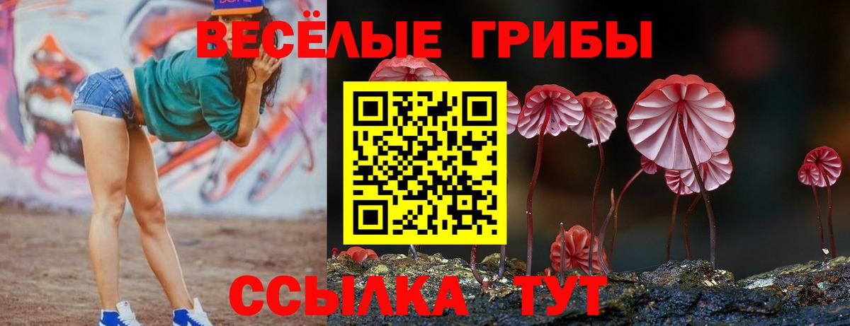 Ирбит  Псилоцибиновые грибы прущие грибы  Псилоцибиновые грибы Cubensis  Вход с VPN 